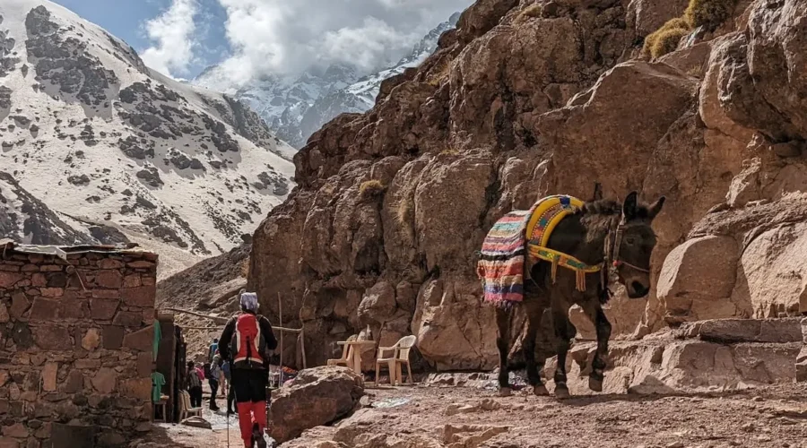 Mount Toubkal Ascent 5 Days